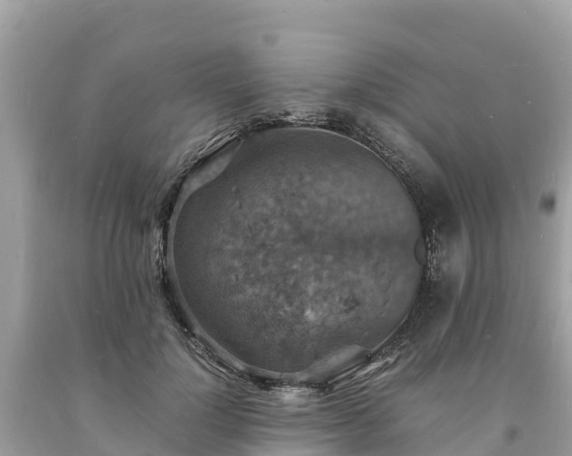 X0000093730748200710231151