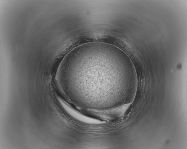 X0000093730750200710231151