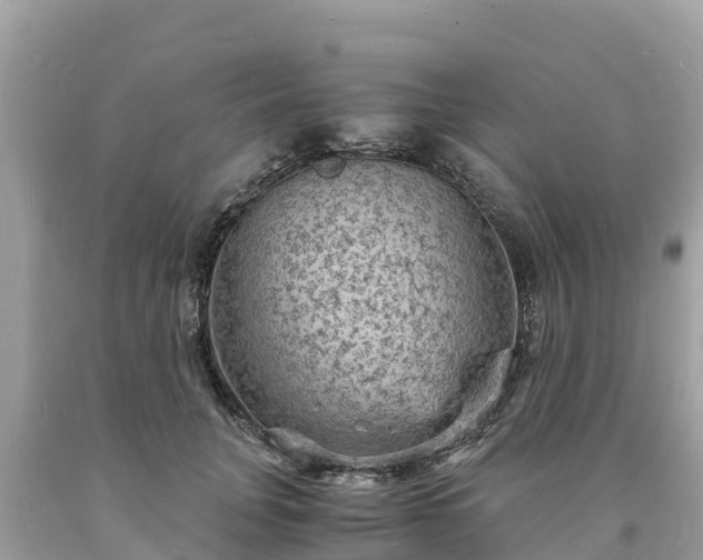 X0000093730751200710231151