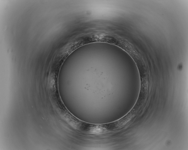 X0000093730754200710231151