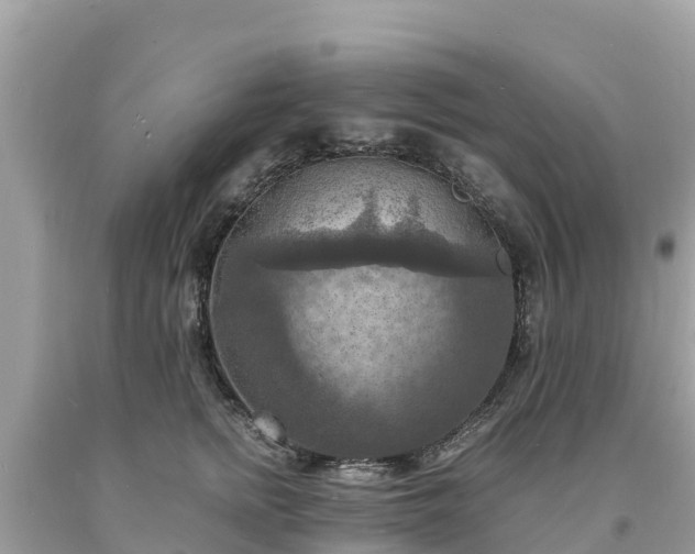 X0000093730758200710231151