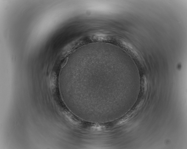 X0000093730760200710231151