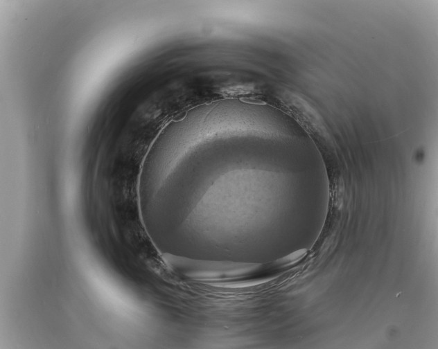 X0000093730763200710231151