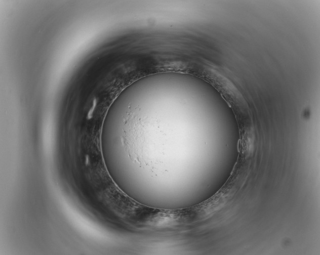 X0000093730764200710231151