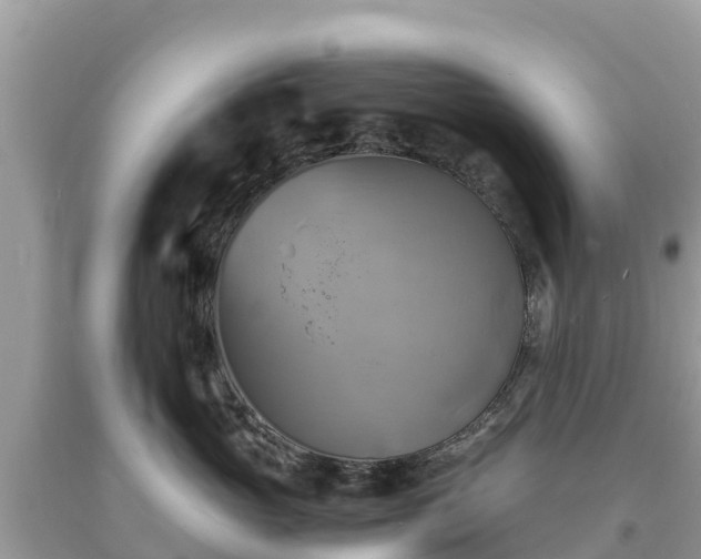 X0000093730765200710231151