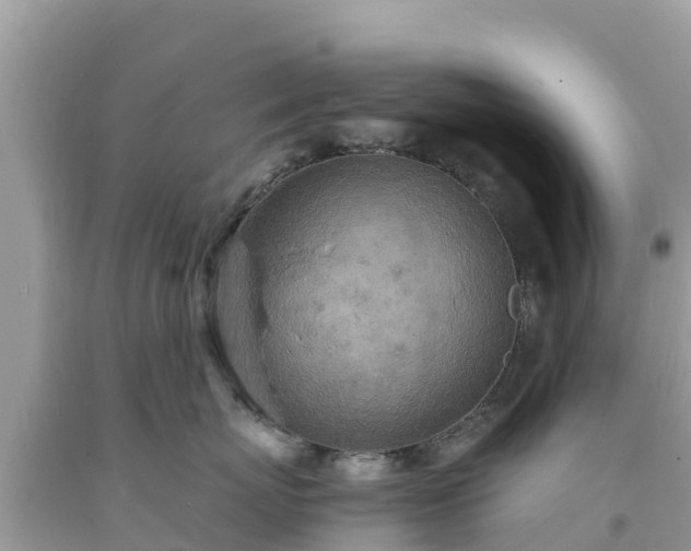 X0000093730767200710231151