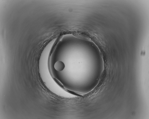 X0000093730769200710231151