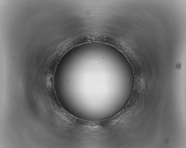 X0000093730770200710231151