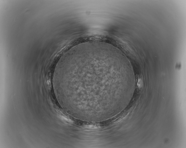 X0000093730771200710231151