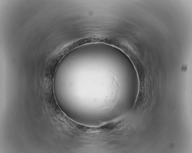 X0000093730773200710231151