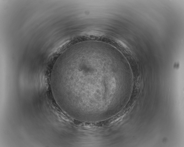 X0000093730774200710231151