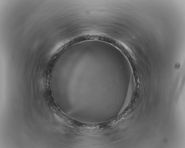 X0000093730775200710231151