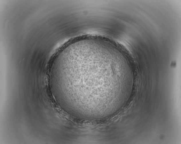 X0000093730776200710231151