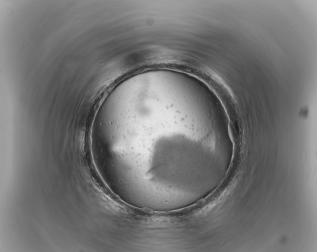 X0000093730777200710231151