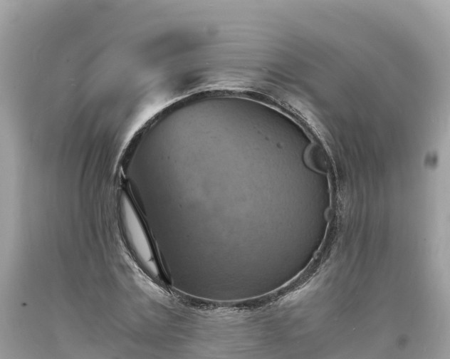 X0000093730779200710231151