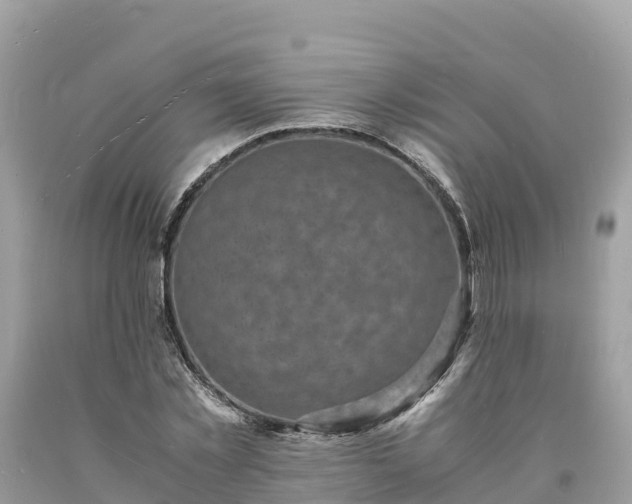 X0000093730781200710231151