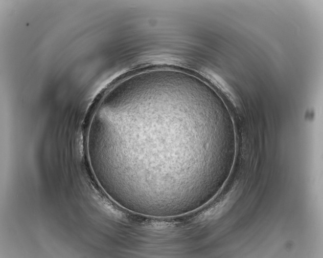 X0000093730782200710231151