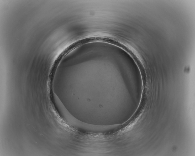 X0000093730783200710231151