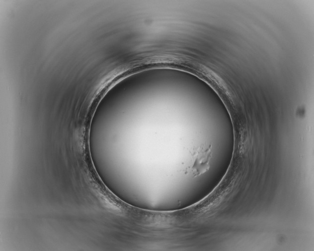 X0000093730786200710231151