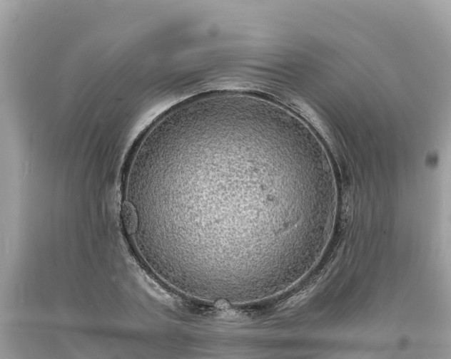 X0000093730787200710231151