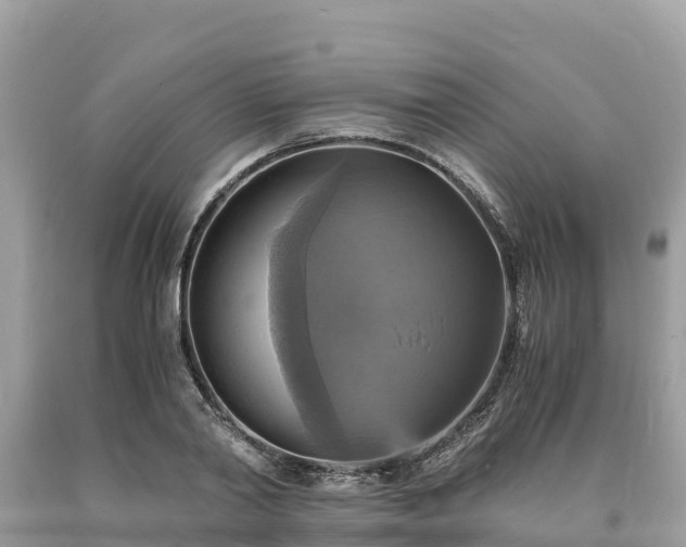 X0000093730790200710231151