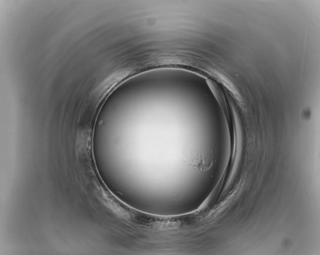 X0000093730793200710231151