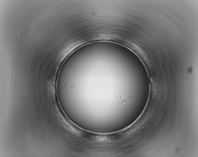 X0000093730794200710231151