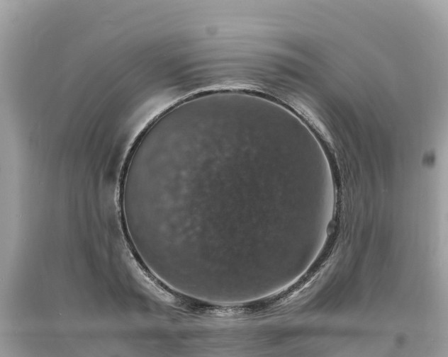 X0000093730797200710231151