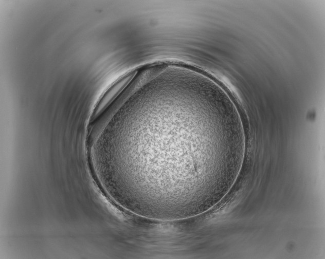 X0000093730799200710231150