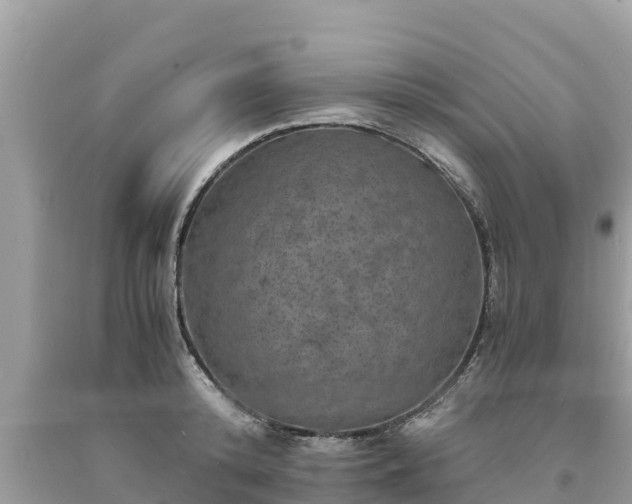 X0000093730800200710231150