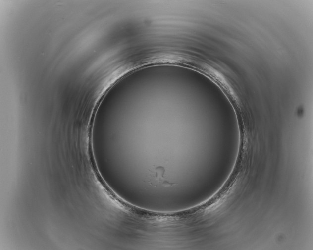 X0000093730802200710231150