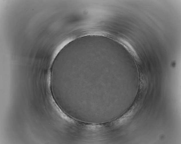 X0000093730804200710231150