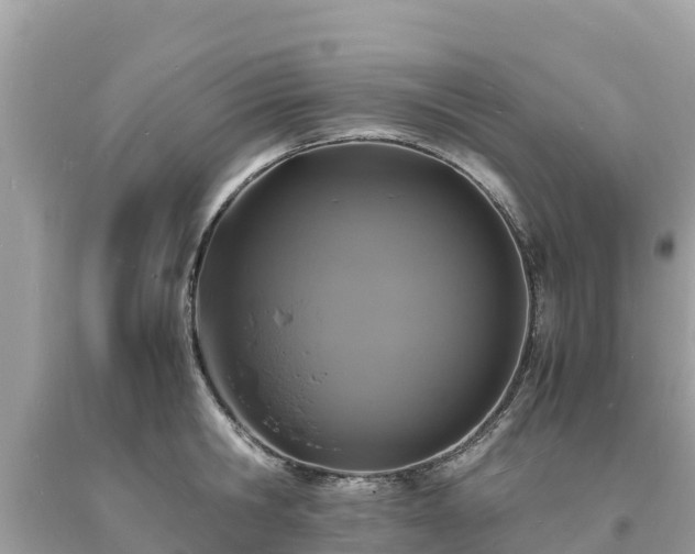 X0000093730806200710231150