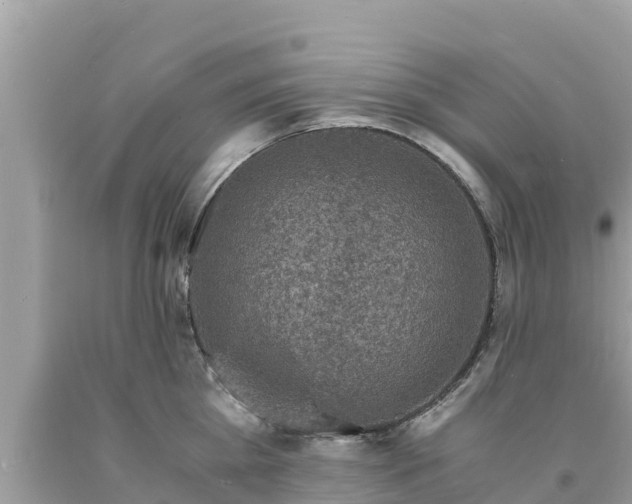 X0000093730809200710231150
