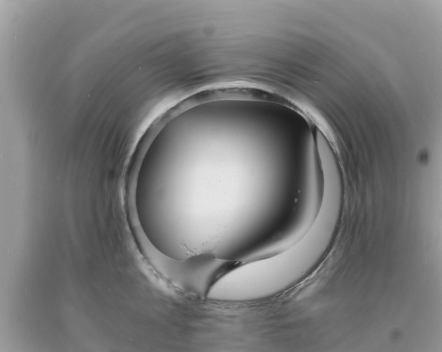 X0000093730813200710231150