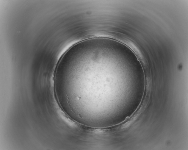 X0000093730814200710231150