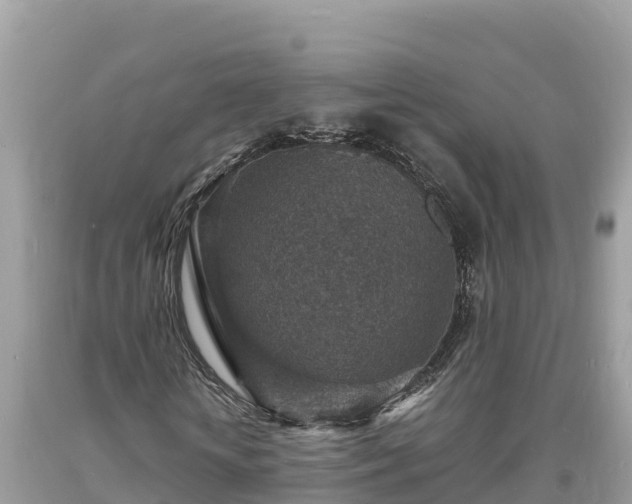 X0000093730818200710231150