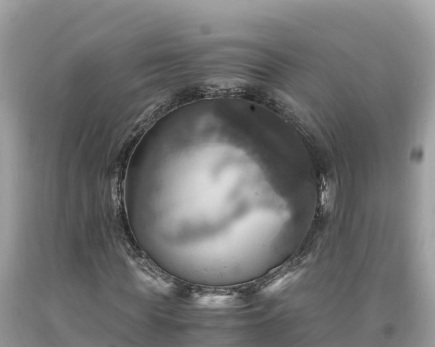 X0000093730819200710231150