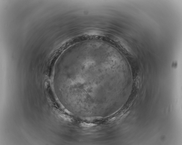 X0000093730821200710231150
