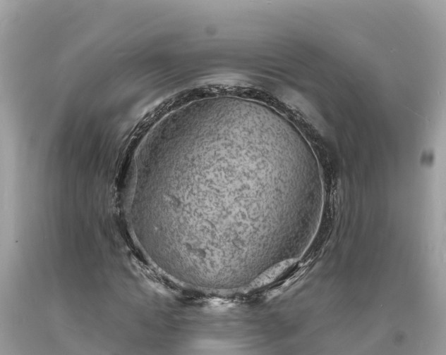 X0000093730822200710231150