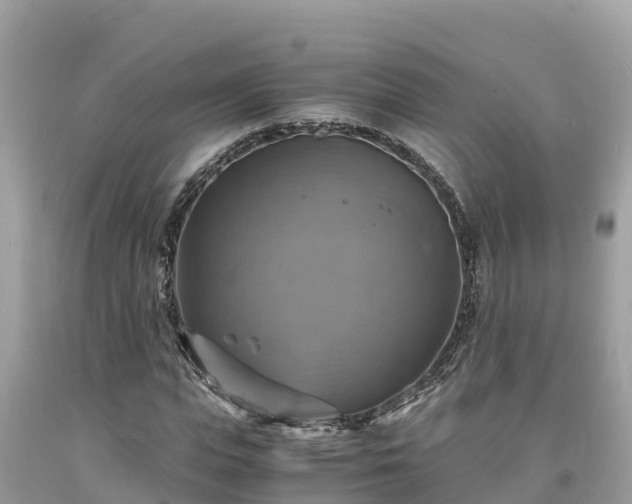 X0000093730823200710231150