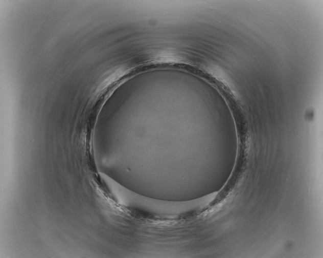 X0000093730825200710231150