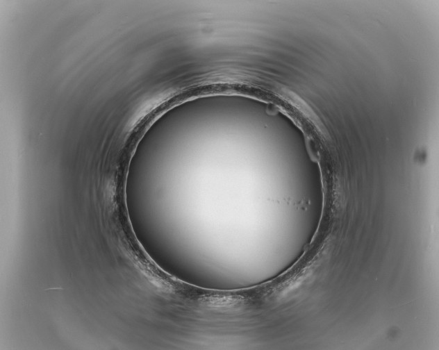 X0000093730826200710231150