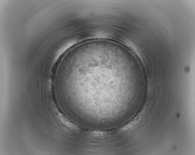 X0000093730827200710231150