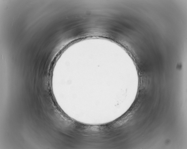 X0000093730828200710231150