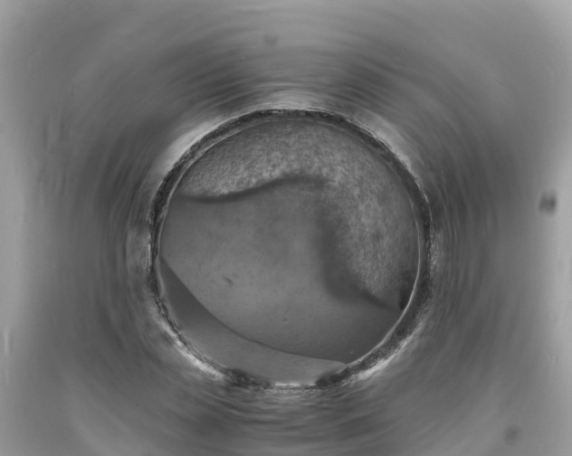 X0000093730829200710231150