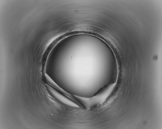 X0000093730830200710231150