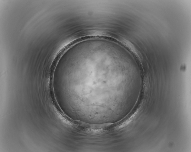 X0000093730831200710231150
