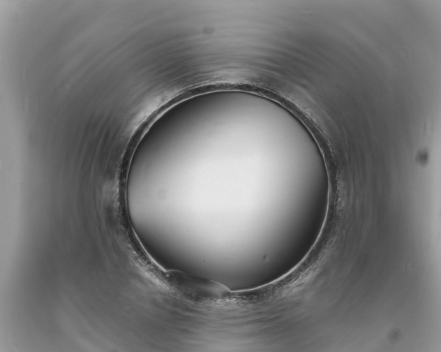 X0000093730834200710231150