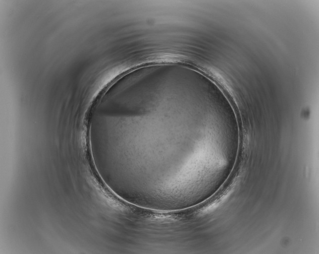 X0000093730835200710231150
